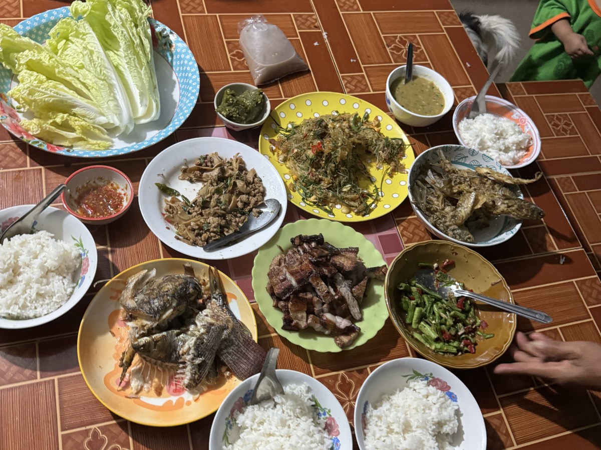Overhead view of a generous village feast spread with rice, fish and roast pork